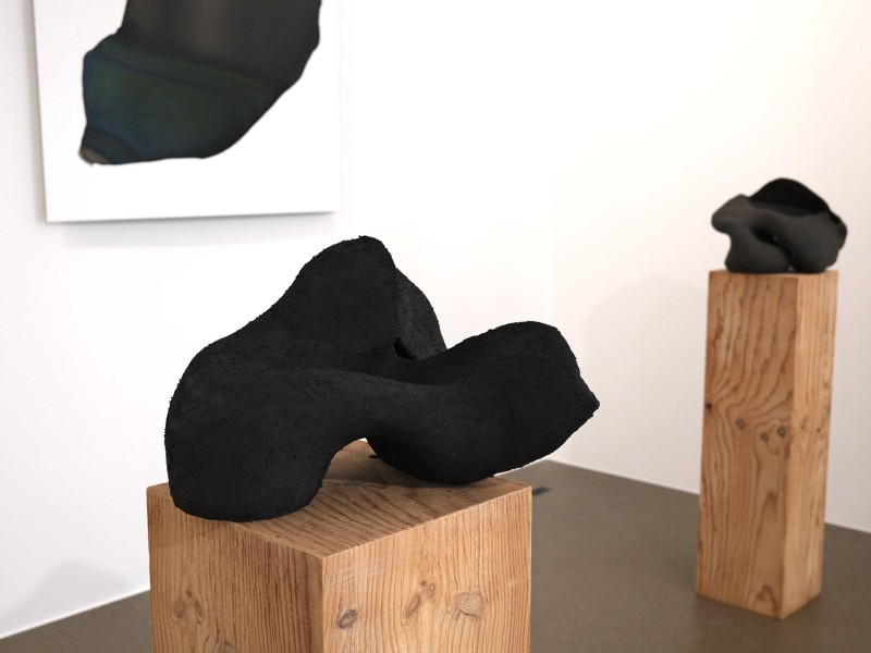 Anita Regli ist Teil der 44. Urner Werk- und F&ouml;rderungsausstellung