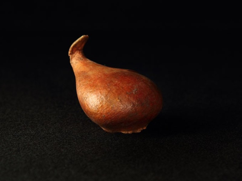 IBB-Preis für Photographie für Anita Regli