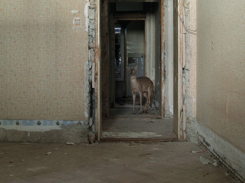 Streifzüge durch das künstlerische Werk von Anita Regli