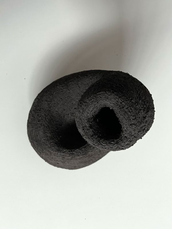 Nigra